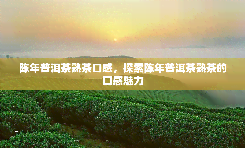 陈年普洱茶熟茶口感，探索陈年普洱茶熟茶的口感魅力