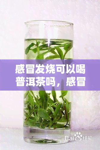 感冒发烧可以喝普洱茶吗，感冒发烧期间，能否饮用普洱茶？