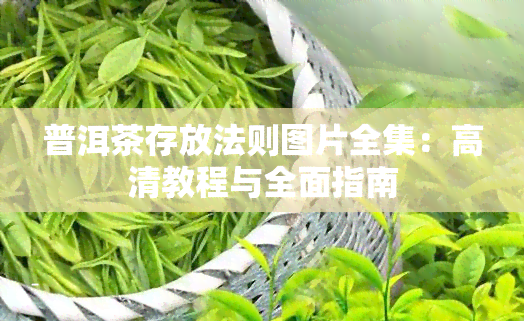 普洱茶存放法则图片全集：高清教程与全面指南