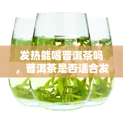 发热能喝普洱茶吗，普洱茶是否适合发热人群饮用？