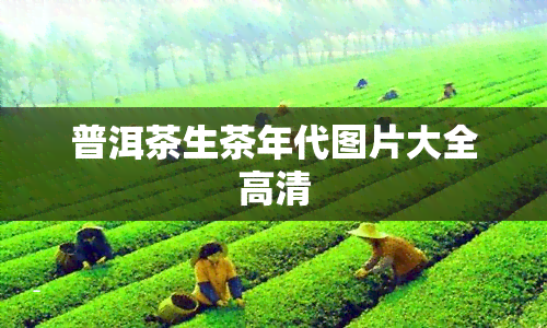 普洱茶生茶年代图片大全高清