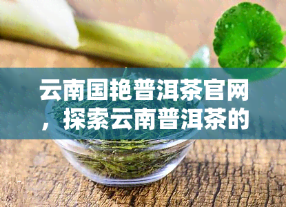 云南国艳普洱茶官网，探索云南普洱茶的魅力：国艳的官方网站