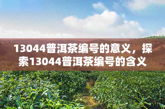 13044普洱茶编号的意义，探索13044普洱茶编号的含义与价值