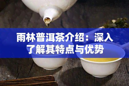 雨林普洱茶介绍：深入了解其特点与优势