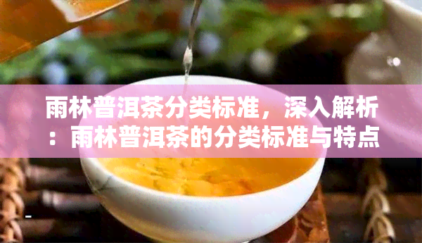 雨林普洱茶分类标准，深入解析：雨林普洱茶的分类标准与特点