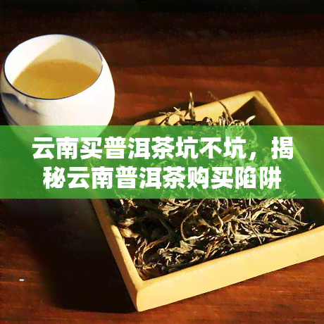 云南买普洱茶坑不坑，揭秘云南普洱茶购买陷阱，消费者需谨！