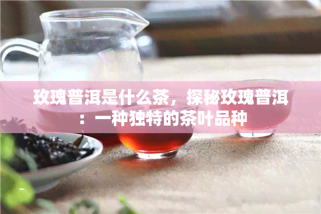 玫瑰普洱是什么茶，探秘玫瑰普洱：一种独特的茶叶品种