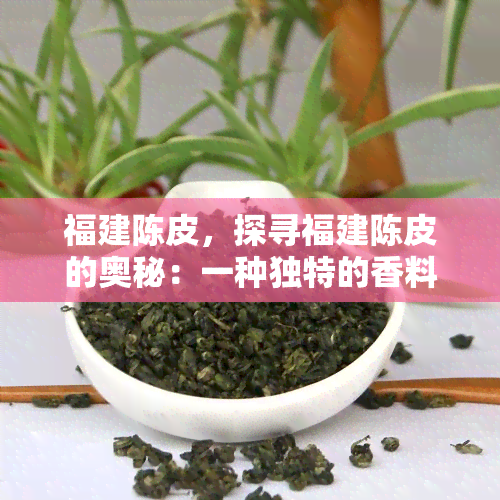 福建陈皮，探寻福建陈皮的奥秘：一种独特的香料和材