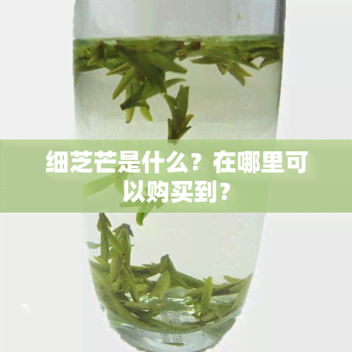 细芝芒是什么？在哪里可以购买到？