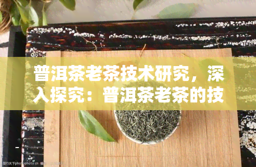 普洱茶老茶技术研究，深入探究：普洱茶老茶的技术研究