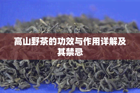 高山野茶的功效与作用详解及其禁忌