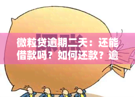 微粒贷逾期二天：还能借款吗？如何还款？逾期后果是什么？有奖问答！