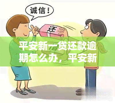 平安新一贷还款逾期怎么办，平安新一贷还款逾期解决方法