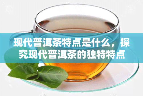 现代普洱茶特点是什么，探究现代普洱茶的独特特点