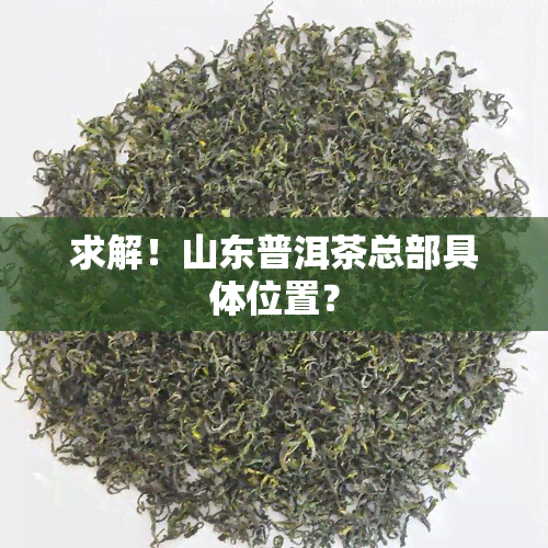 求解！山东普洱茶总部具 *** 置？