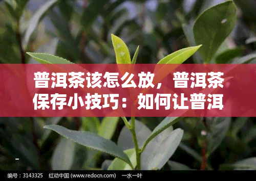 普洱茶该怎么放，普洱茶保存小技巧：如何让普洱茶口感更佳？