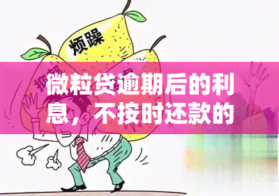 微粒贷逾期后的利息，不按时还款的代价：探讨微粒贷逾期后的高额利息