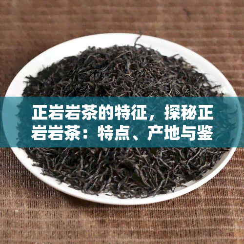 正岩岩茶的特征，探秘正岩岩茶：特点、产地与鉴方法