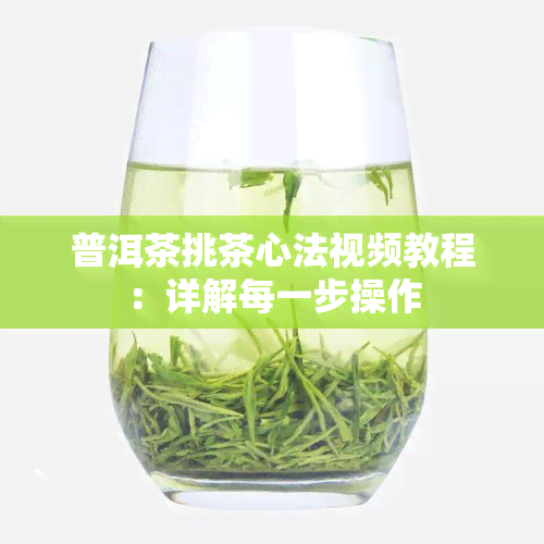 普洱茶挑茶心法视频教程：详解每一步操作