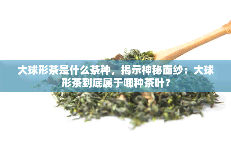 大球形茶是什么茶种，揭示神秘面纱：大球形茶到底属于哪种茶叶？