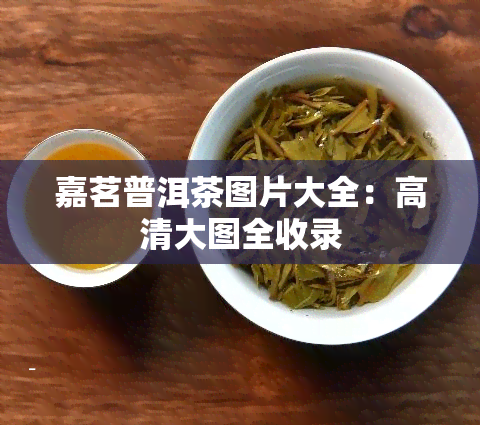 嘉茗普洱茶图片大全：高清大图全收录