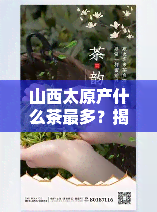 山西太原产什么茶最多？揭秘太原茶叶种类及产量