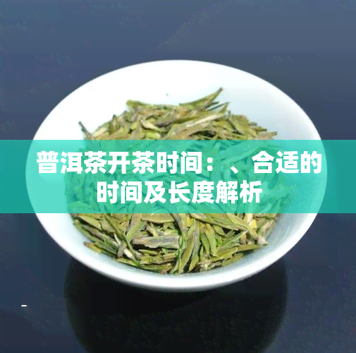 普洱茶开茶时间：、合适的时间及长度解析