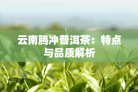 云南腾冲普洱茶：特点与品质解析