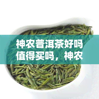 神农普洱茶好吗值得买吗，神农普洱茶：品质如何，是否值得购买？