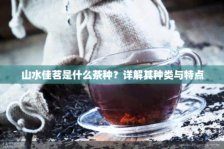 山水佳茗是什么茶种？详解其种类与特点