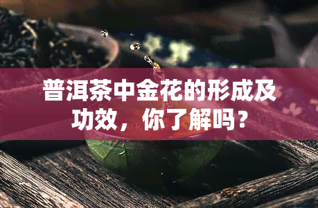 普洱茶中金花的形成及功效，你了解吗？