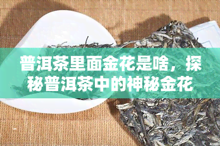 普洱茶里面金花是啥，探秘普洱茶中的神秘金花：它是什么？有何作用？