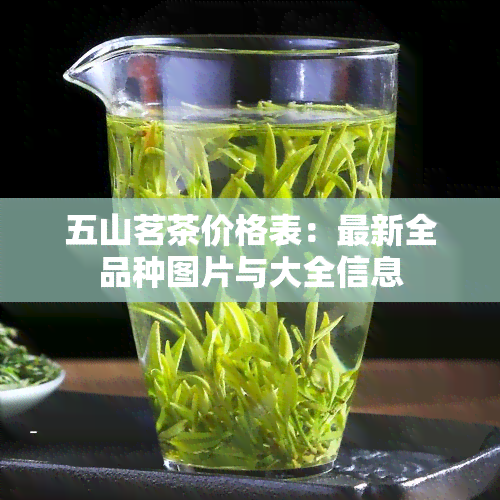 五山茗茶价格表：最新全品种图片与大全信息