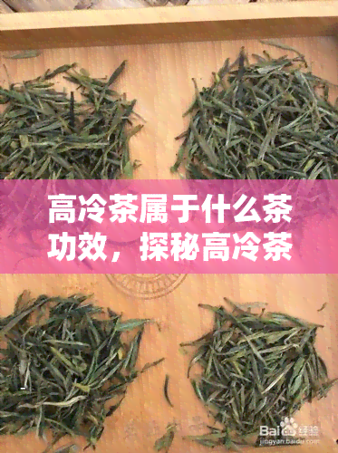 高冷茶属于什么茶功效，探秘高冷茶：它属于哪种茶类？又有哪些独特的功效？