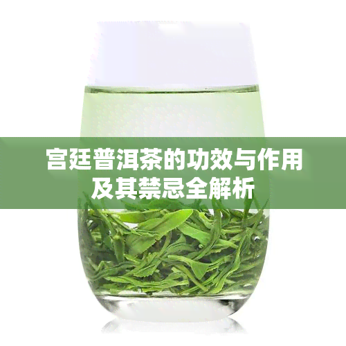 宫廷普洱茶的功效与作用及其禁忌全解析