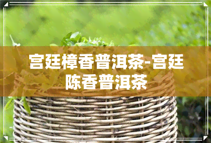 宫廷樟香普洱茶-宫廷陈香普洱茶