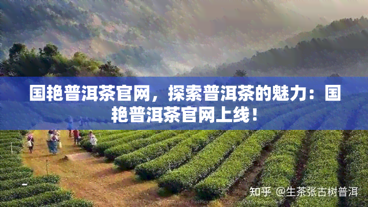 国艳普洱茶官网，探索普洱茶的魅力：国艳普洱茶官网上线！