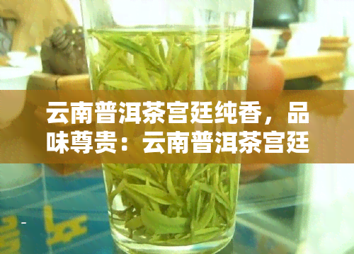 云南普洱茶宫廷纯香，品味尊贵：云南普洱茶宫廷纯香的独特魅力