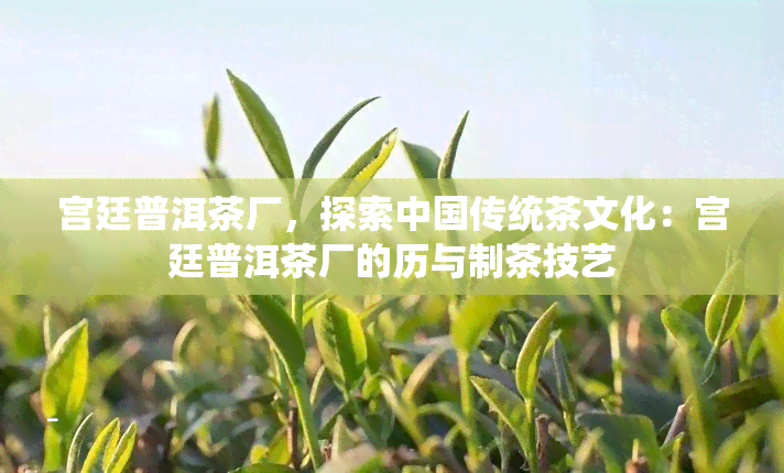 宫廷普洱茶厂，探索中国传统茶文化：宫廷普洱茶厂的历与制茶技艺