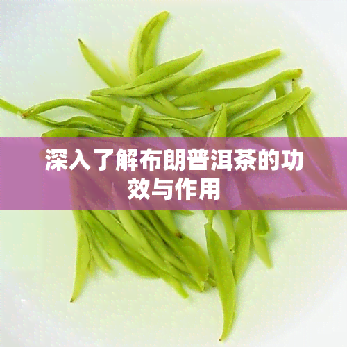 深入了解布朗普洱茶的功效与作用