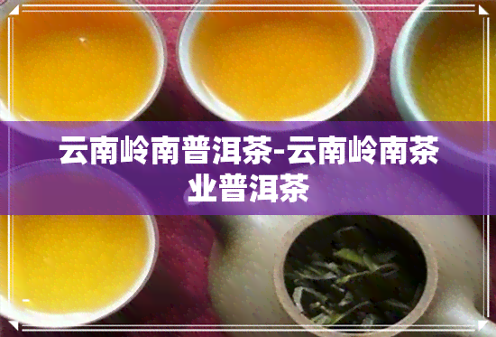 云南岭南普洱茶-云南岭南茶业普洱茶