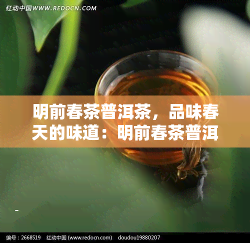 明前春茶普洱茶，品味春天的味道：明前春茶普洱茶的魅力探索