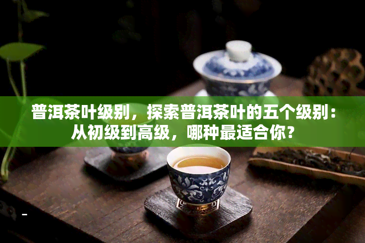 普洱茶叶级别，探索普洱茶叶的五个级别：从初级到高级，哪种最适合你？