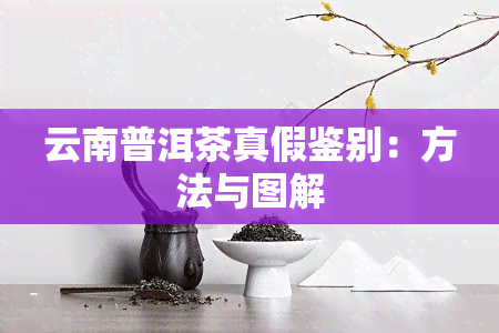 云南普洱茶真假鉴别：方法与图解