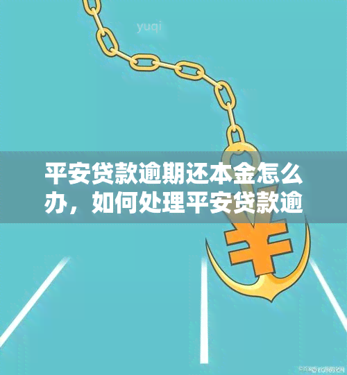 平安贷款逾期还本金怎么办，如何处理平安贷款逾期未偿还的本金问题？