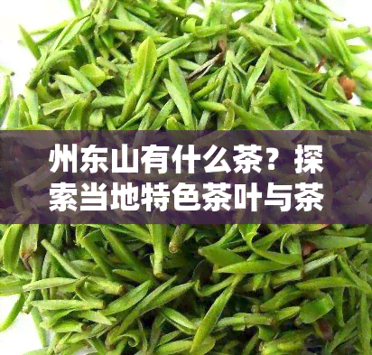 州东山有什么茶？探索当地特色茶叶与茶室