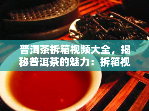 普洱茶拆箱视频大全，揭秘普洱茶的魅力：拆箱视频大全解析