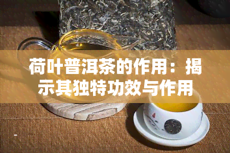 荷叶普洱茶的作用：揭示其独特功效与作用