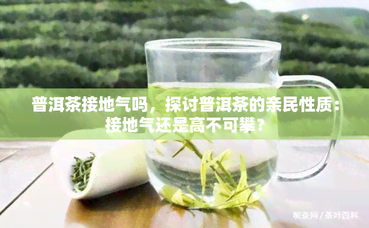 普洱茶接地气吗，探讨普洱茶的亲民性质：接地气还是高不可攀？