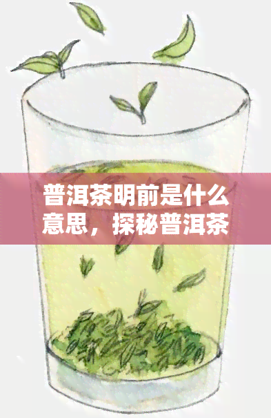 普洱茶明前是什么意思，探秘普洱茶的“明前”之谜